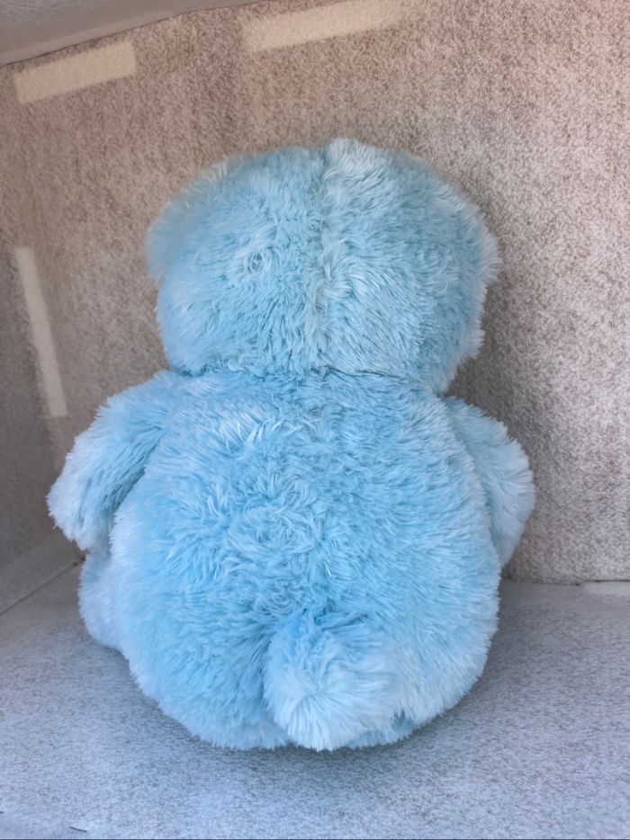 Ours bleu - photo numéro 3