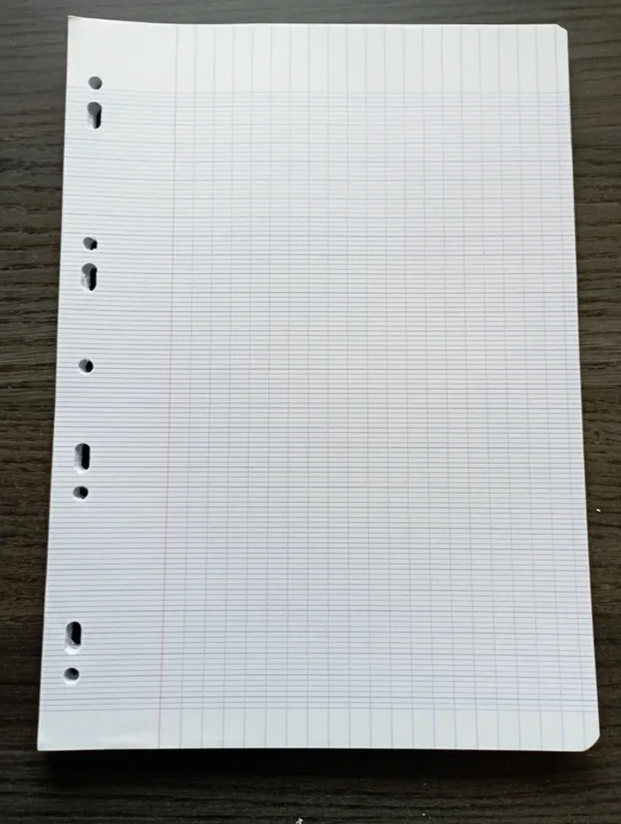 Lot feuilles simples A4 grands carreaux perforées