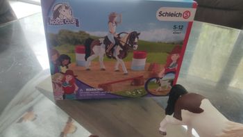 Schleich 42441