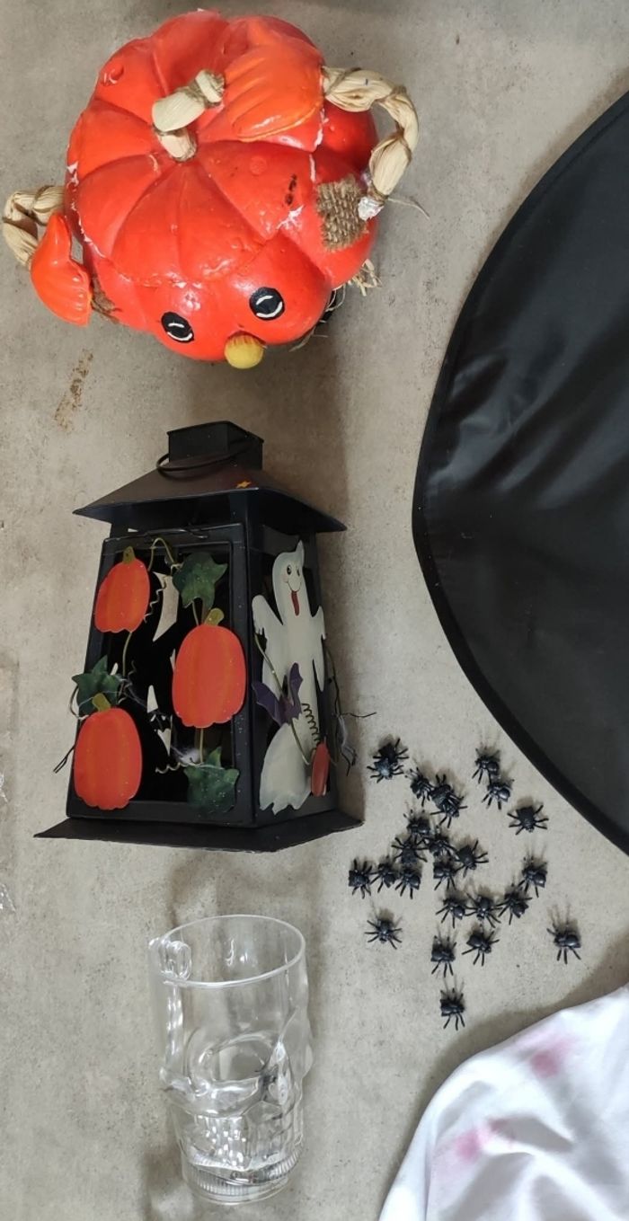 Lot complet halloween - photo numéro 3