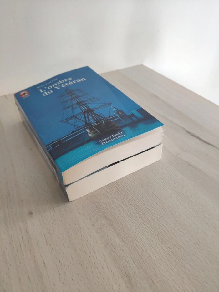 Lot deux livres jeunesse Failler l'ombre du vétéran seigneur de l'île Tristan Castor poche senior - photo numéro 6
