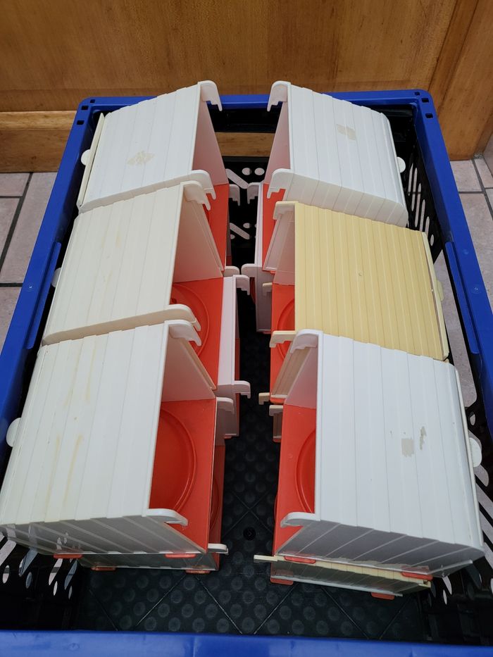 Nids canaris - photo numéro 6