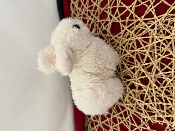 Doudou lapin blanc HISTOIRE D'OURS - photo numéro 5