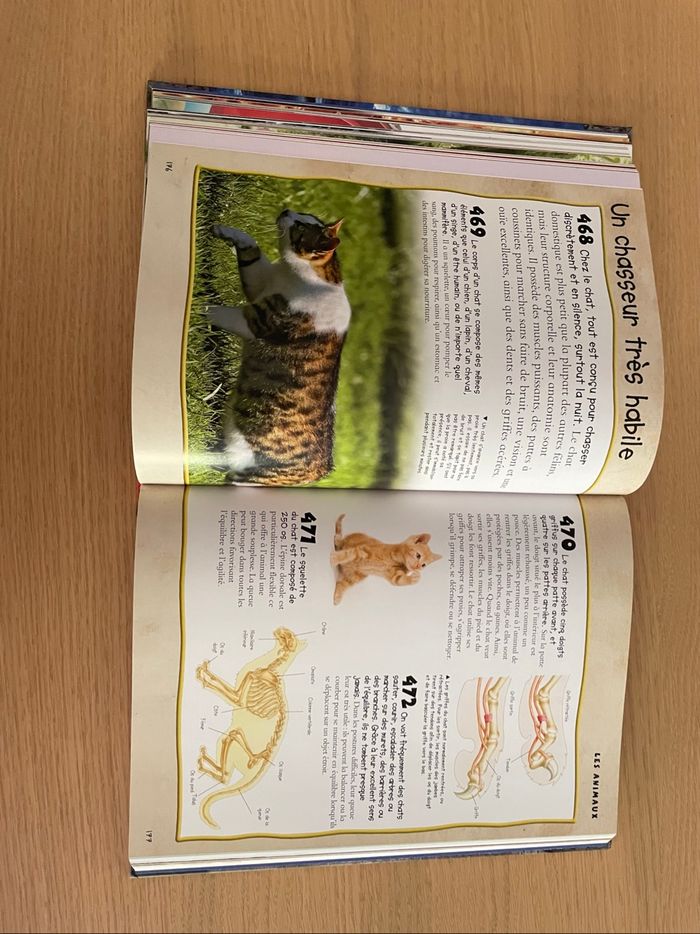 🌟 1000 Infos - photo numéro 3
