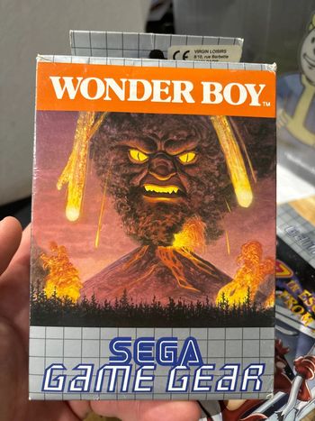 Wonder Boy - SEGA Game Gear