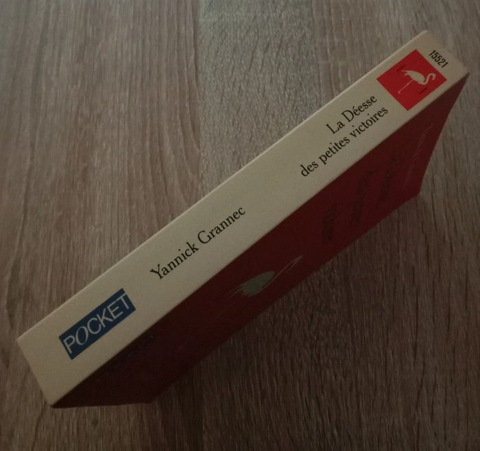 Yannick Grannec 📚 La déesse des petites victoires - photo numéro 3