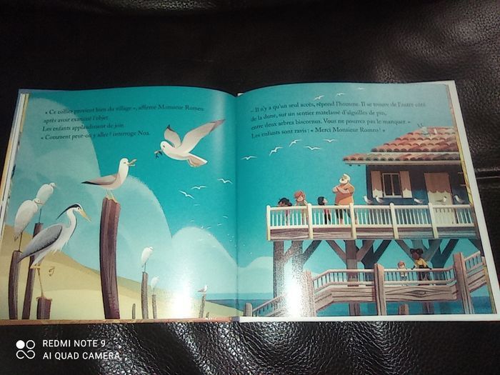 Livre enfant Mac Do, Le village enfoui sous la dune du Pilat, Hachette Jeunesse - photo numéro 2