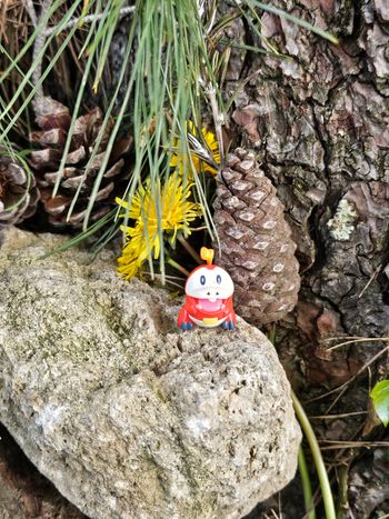 Super figurine Pokemon Nintendo chochodile 