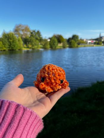 Mini Poulpe Paulito 🐙