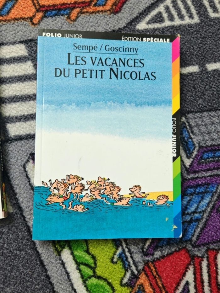 Livre les vacances du petit Nicolas