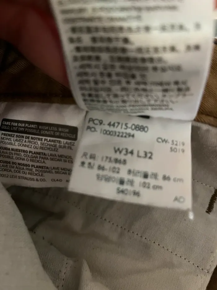 Chino camel - photo numéro 8
