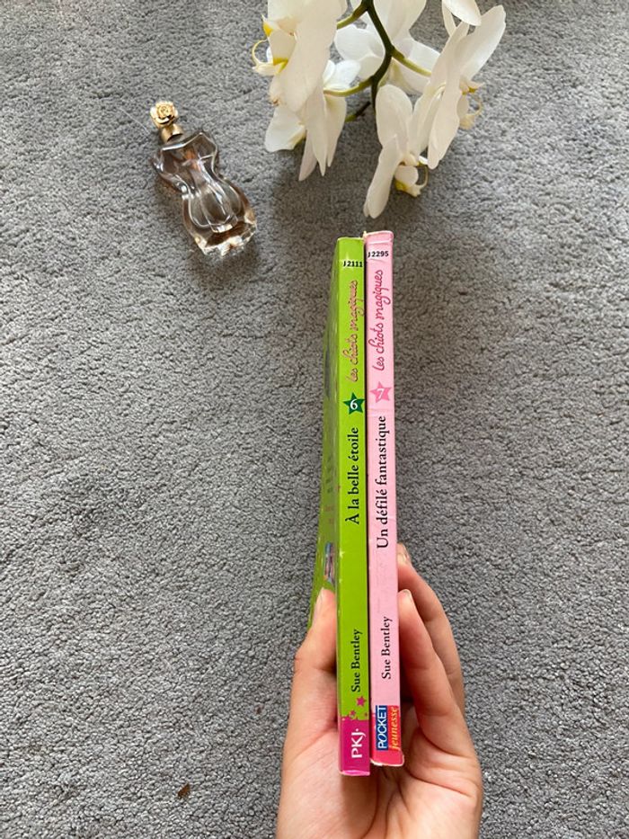 Lots de livres 📚🌺 - photo numéro 7