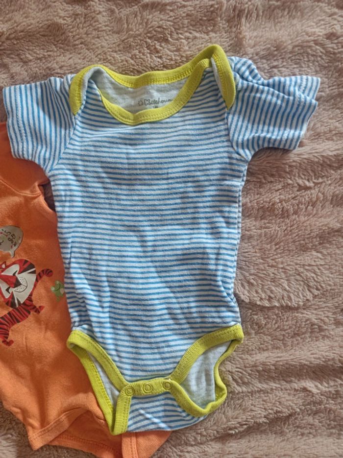 Lot de 3 body manches courtes kitchoun - photo numéro 3