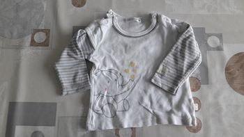 Tshirt éléphant
