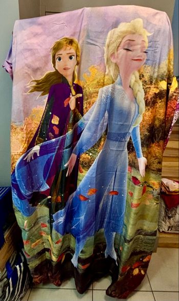 Parure lit 1 personne 90x190cm neuve La reine des neige 2