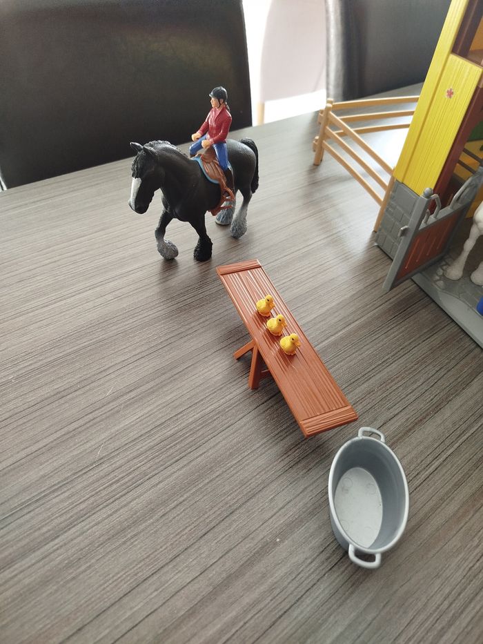 Ecurie Schleich - photo numéro 6