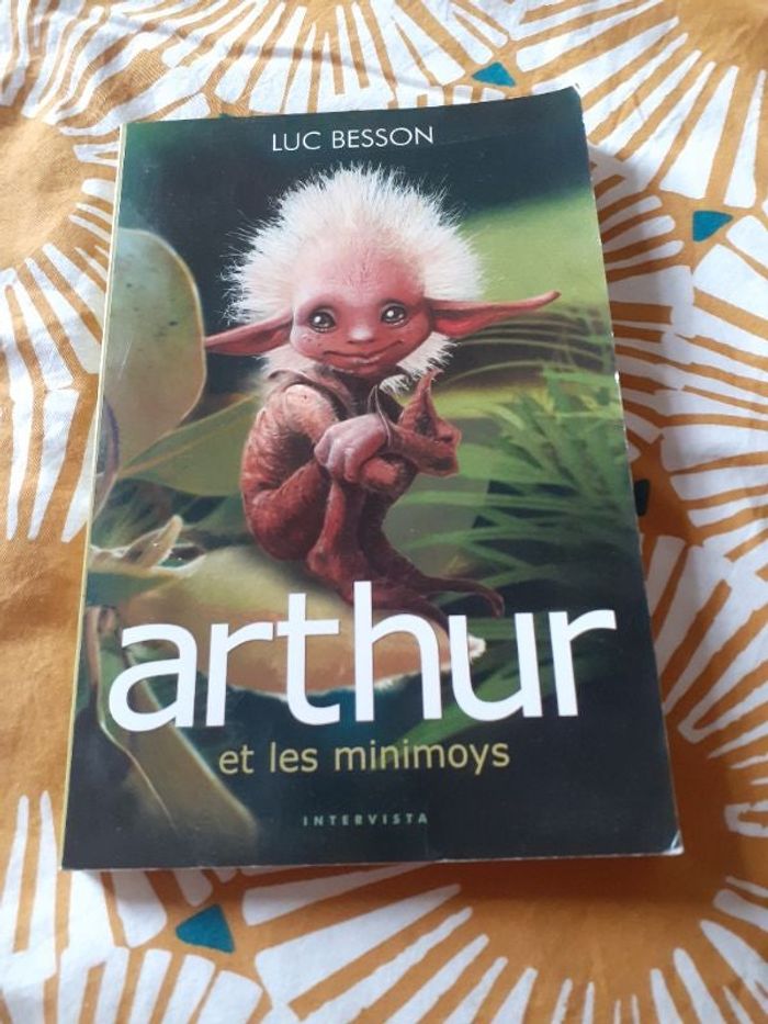 Livre Luc Besson Arthur et les minimoys