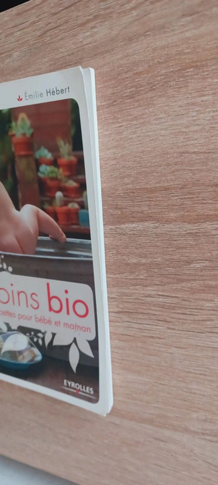 Livre "Mes soins bio 40 recettes pour bébé et maman" - photo numéro 8