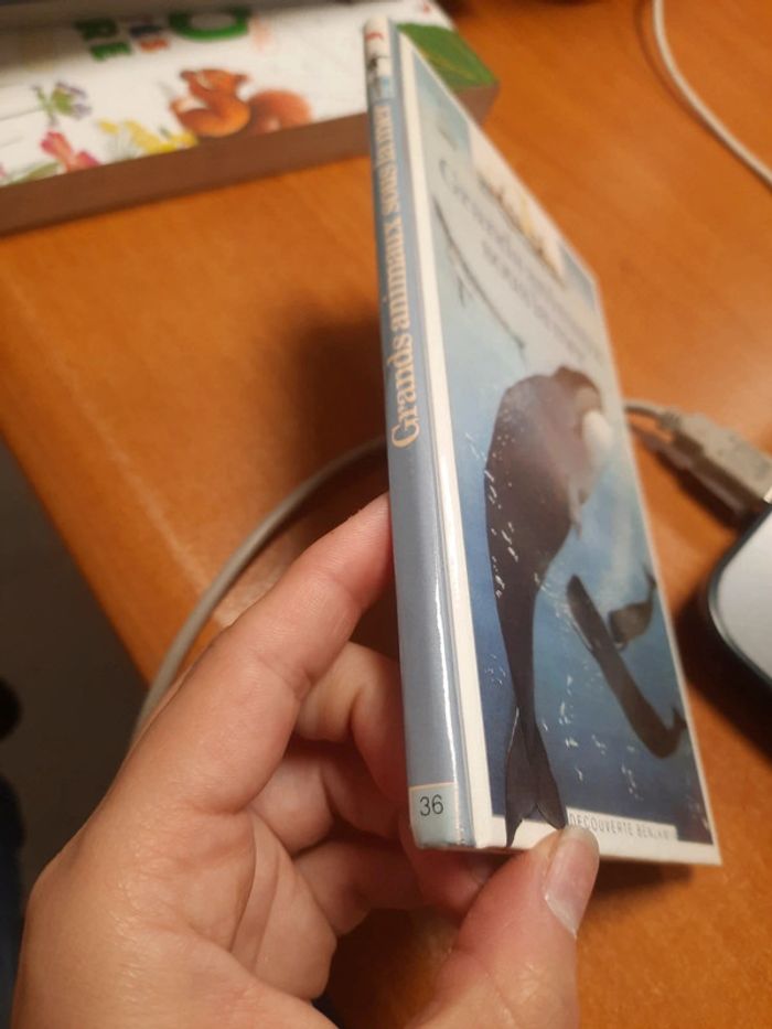 Livre découverte Benjamin - photo numéro 2