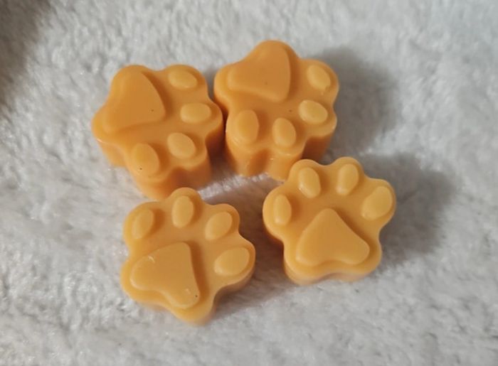 Fondant de cire - photo numéro 7
