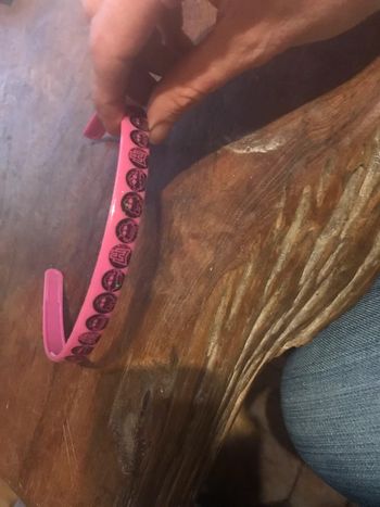 Serre tête Monster high