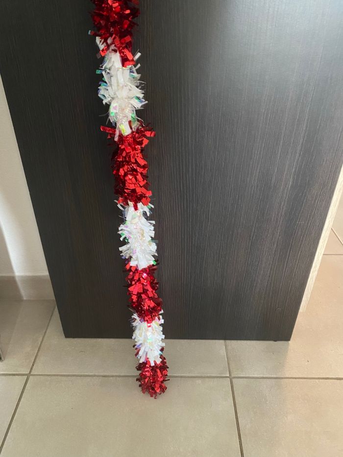 Canne à sucre - photo numéro 3