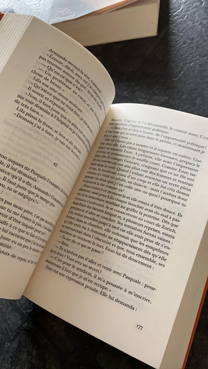 Livre Elena Ferrante « Celle qui fuit et celle qui resté - photo numéro 4