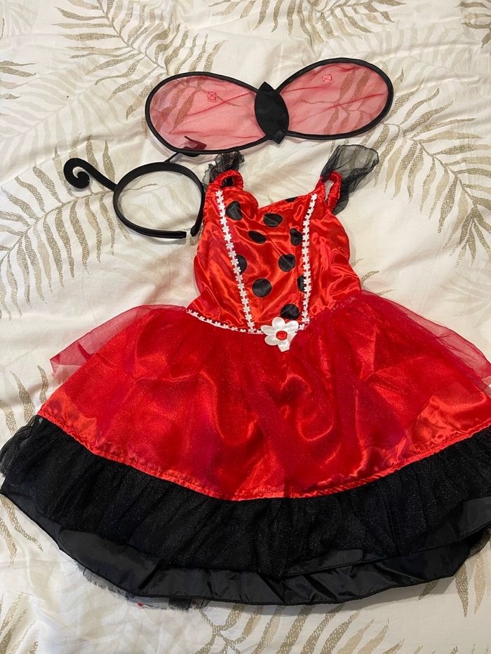 Déguisement coccinelle