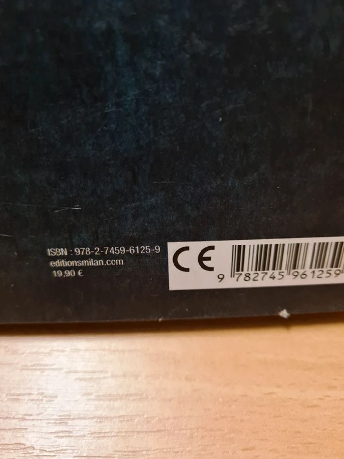 Livre - photo numéro 3