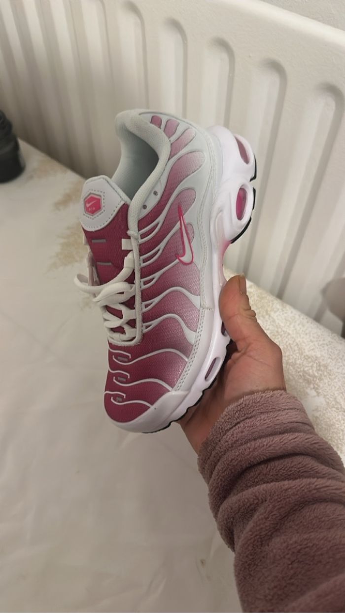 Tn rose - photo numéro 2