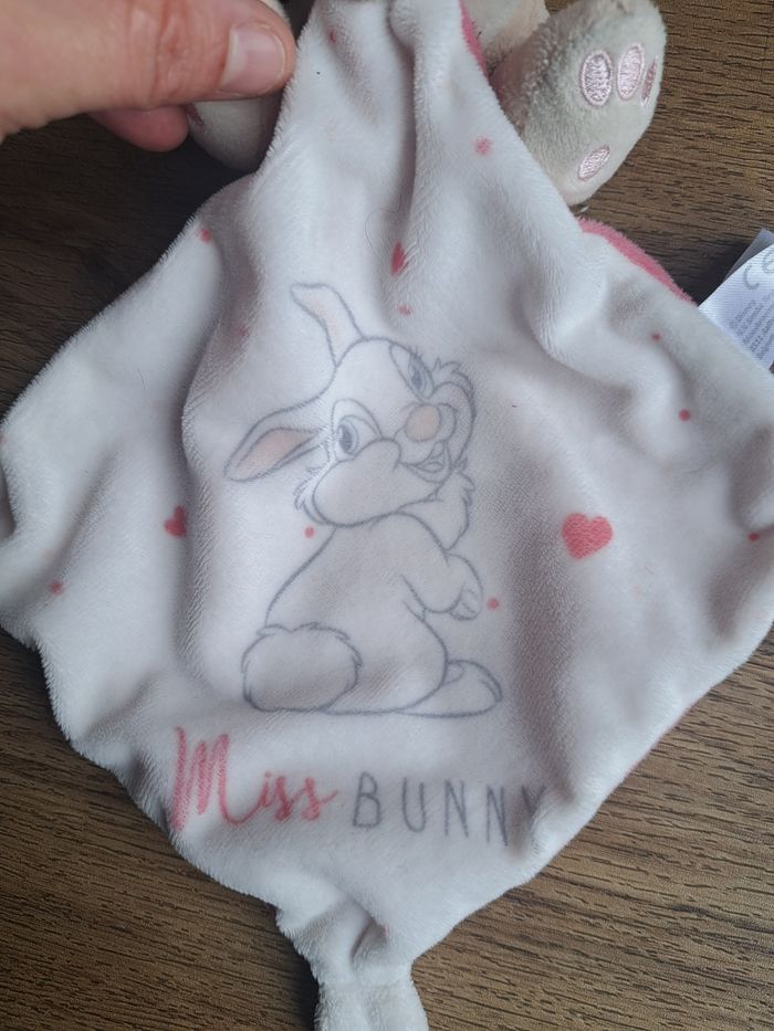 Miss bunny - photo numéro 3