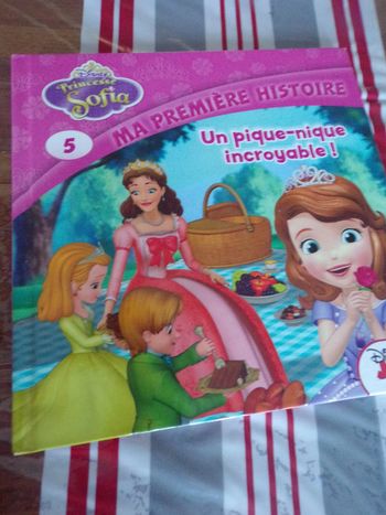 Livre N°5 Disney Un pique-nique incroyable