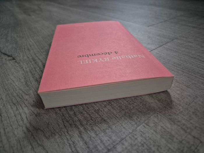Livre "4 décembre" Nathalie Rykiel Plon - photo numéro 7