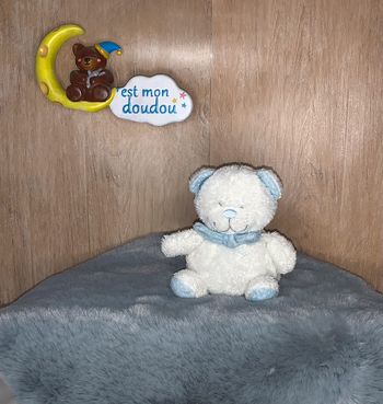 TEX105 doudou ours 🐻 tex