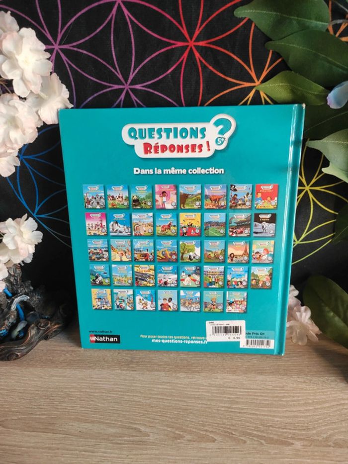D'où ça vient ? Questions / Réponses dès 5 ans – Nathan - photo numéro 5