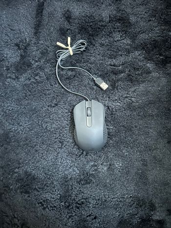 Souris pour pc 