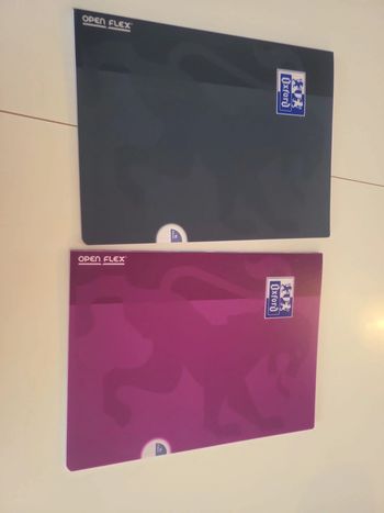 2 cahiers oxford open flex 24x32