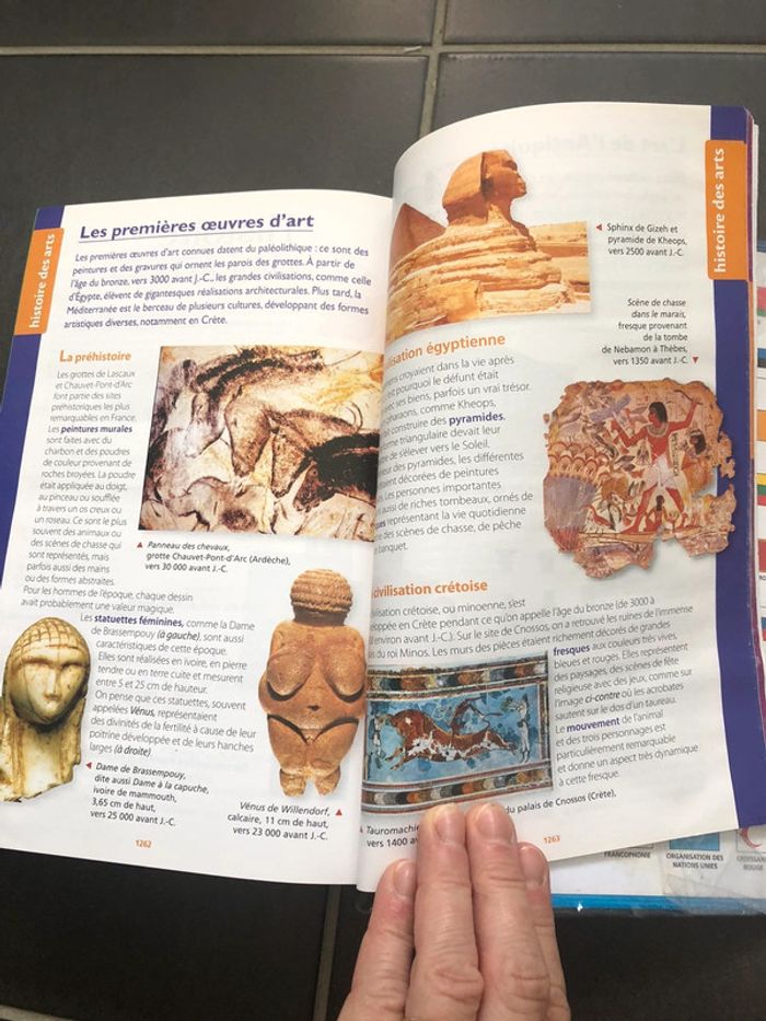 Dictionnaire Larousse Junior - photo numéro 5