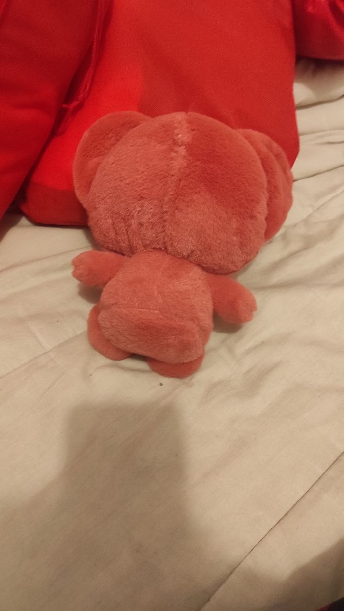 Peluche chat - photo numéro 2