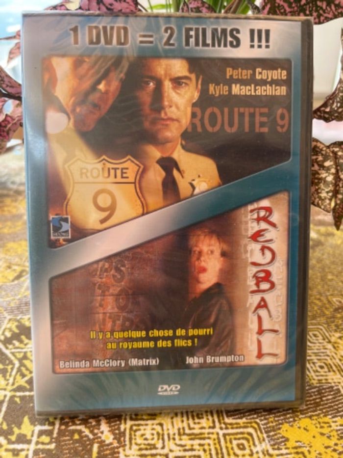 DVD 2 en 1 Route 9 et Redball
