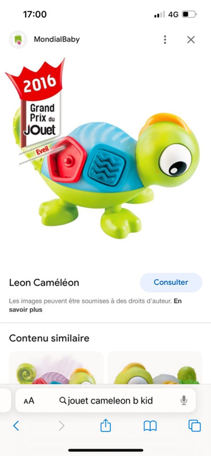 Leon le caméléon - photo numéro 2