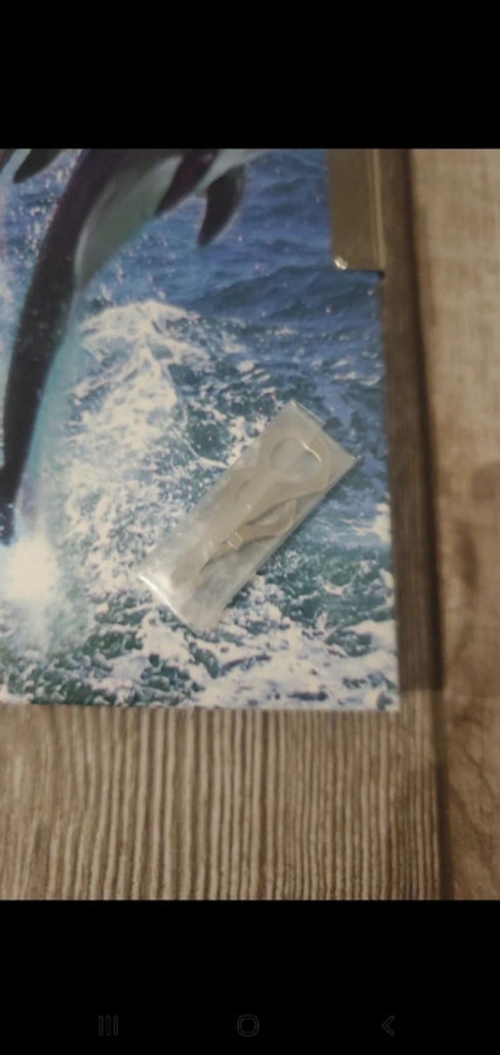 Journal dauphins avec clefs - 18 x 13 - photo numéro 3