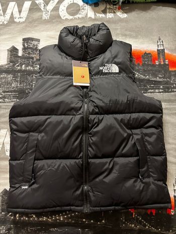 Veste the north face sans manches
