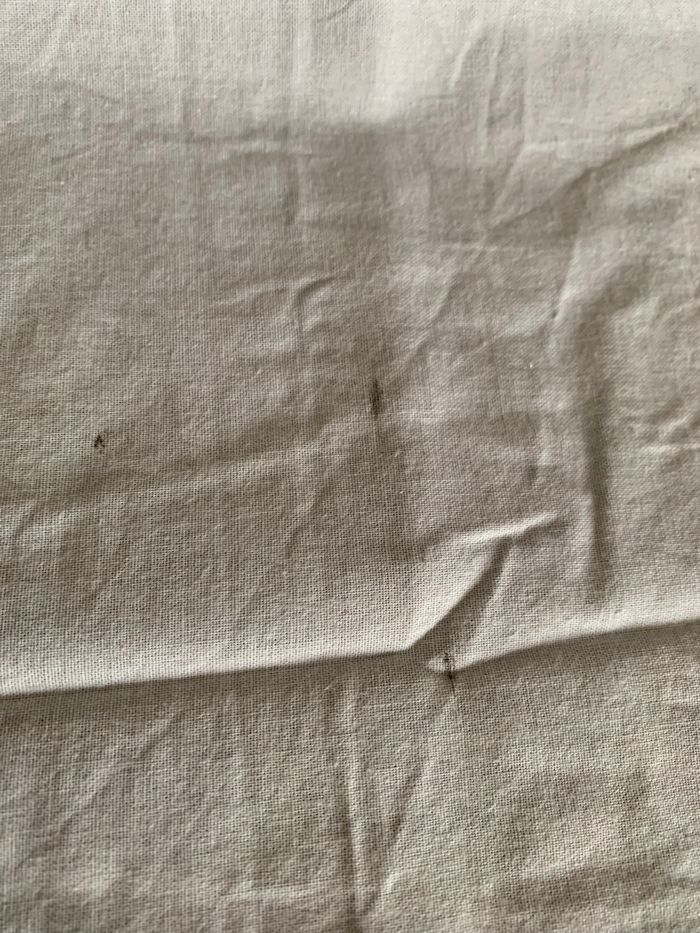 Rideau Dora l’Exploratrice - photo numéro 3