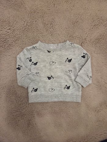 Sweat bébé KIABI chiens 3 mois tres bon etat