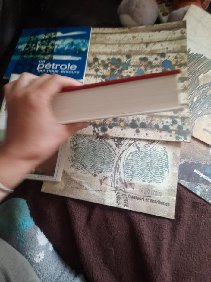 Lot livres pédagogie le pétrole p h - photo numéro 8