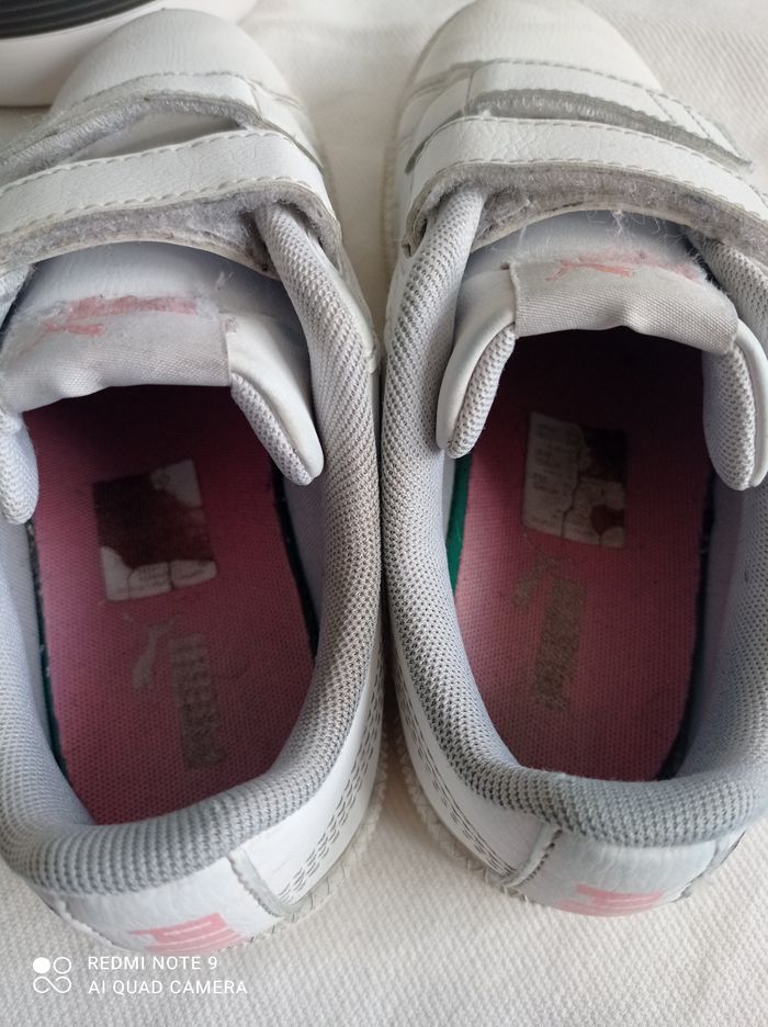 Puma à scratch - photo numéro 6