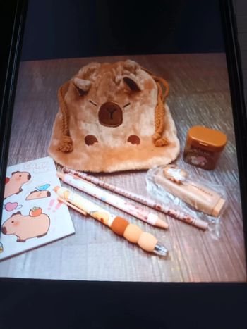 Ballotin Capybara et ses accessoires