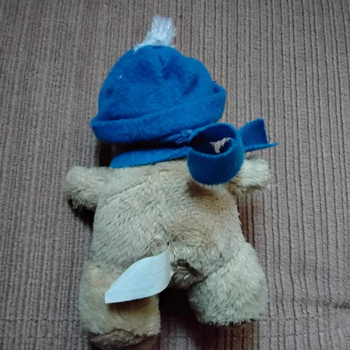 Mini ours - photo numéro 2