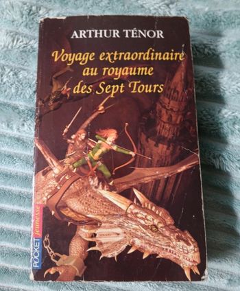 Livre voyage extraordinaire au royaume des sept tours